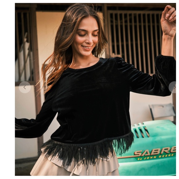 ShopEvelynne Tops - 41 Chic Velvet Feather Fringe Long Sleeve Top